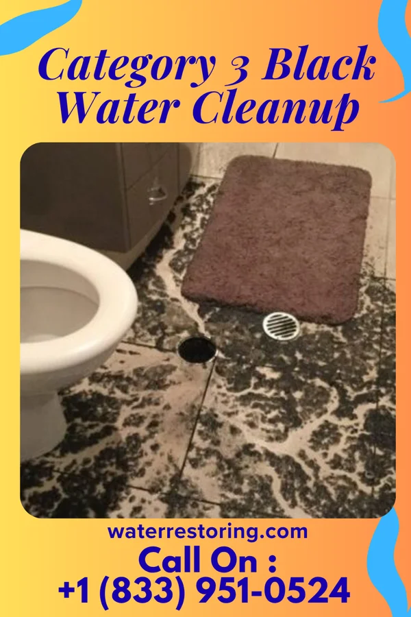 Category 3 Black Water Cleanup in La Croft, OH
